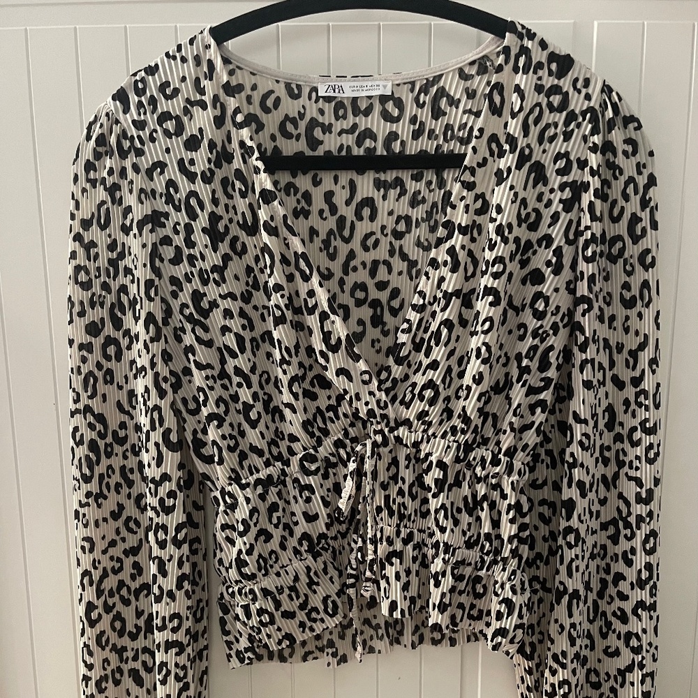 Zara Leopard Print Satin Plunging V Rouched Long Sleeve Top